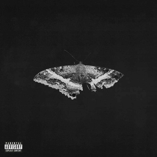 Kendrick lamar pimp - lamar, to